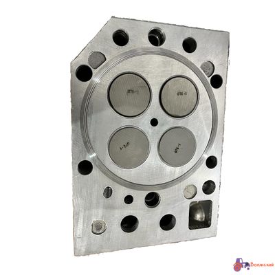 Головка блока ТМЗ 840.1003010-20