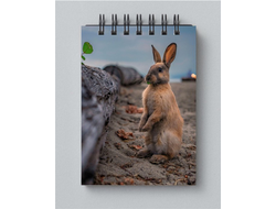 Блокнот год Кролика №6