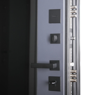 Стальная дверь   Ligero. Заказная модель.