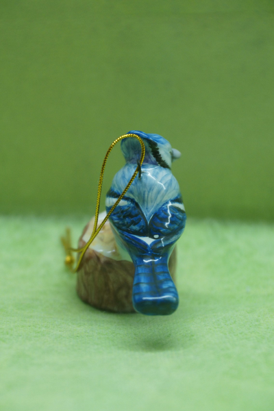 Сойка - Птицы России