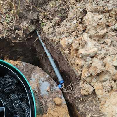 Евролос Био 3 выброс