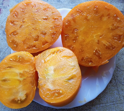 Томат Немецкий желтый Йодера (Yoder`s German Yellow)