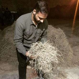 Ветивер (Vetiveria zizanoides) Индия, корневища (5 мл)  - 100% натуральное эфирное масло