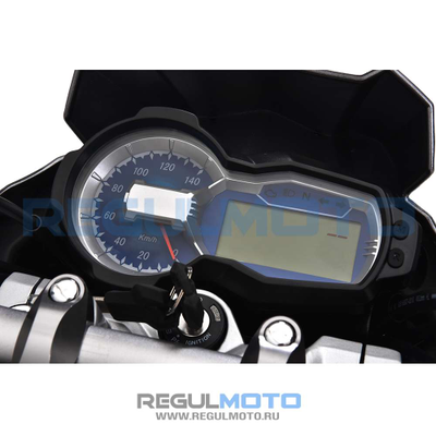 Regulmoto Raptor new