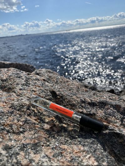 Духи АККОРД: ЧЁРНЫЕ КОШКИ 10 мл