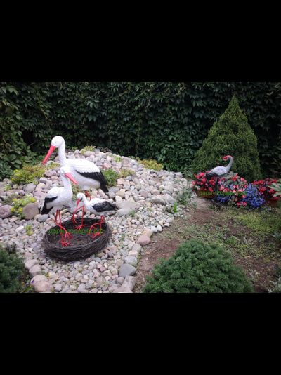 Аист 70*34 см  0,8кг   полистоун Россия 1548/012654 Аист - является символом новой жизни. Согласно русским народным поверьям, аист - птица, приносящая счастье в Ваш дом. Также аист покровительствует рождению детей.