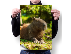 Плакат вертикальный Капибара, Kapibara-san №28