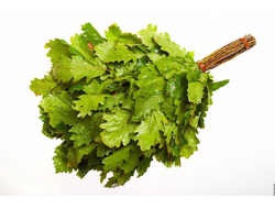 Дубовый веник