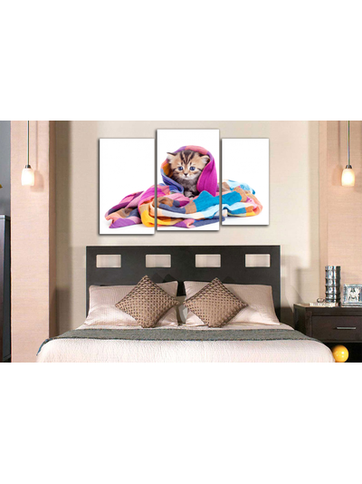 Модульная картина "Котенок в шали"