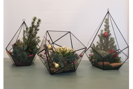 Живая флористика