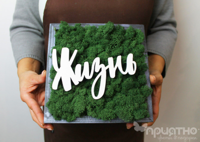 ЖИВАЯ ЭКО-КАРТИНА 1058