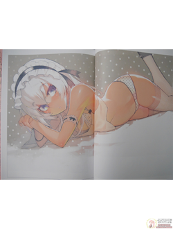 Оригинальный Арт Бук NamanikuATK Illustrations vol.2 Namaniku Teishoku Okawari Regular Edition