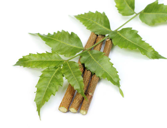 ЭКСТРАКТ ЛИСТЬЕВ НИМА / CAMPO NEEM LEAT TOTAL EXTRACT Powder Crystalline