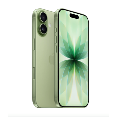 Смартфон Apple iPhone 17 256GB Sage (Зеленый)