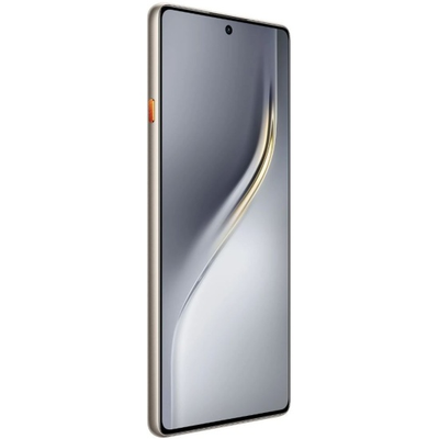 Tecno CAMON 40 (CM5) 12/256GB Титан