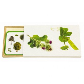 Монтессори карточки &quot;Растения по отношению к человеку&quot;