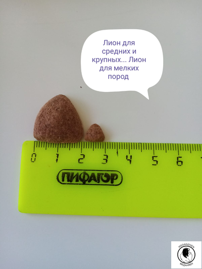 Гранд Дог корм для собак Grand Dog Lion Premium с Говядиной для мелких пород 10кг