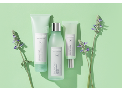 ARTISTRY SKIN NUTRITION Матирование и баланс, 18-35 лет.