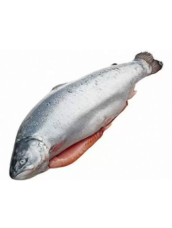 ОХЛАЖДЕННАЯ МОРСКАЯ МУРМАНСКАЯ