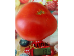 Томат Синий Том (Blue Tom)