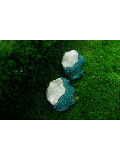 Сказки братьев Гримм. Круглые серьги в стиле фэнтези из коллекции волшебных украшений Винсенто