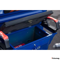 Грузовой электротрицикл TaiLG TL1000