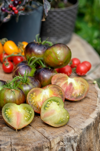 Томат Изумрудный Дождь, 10 шт