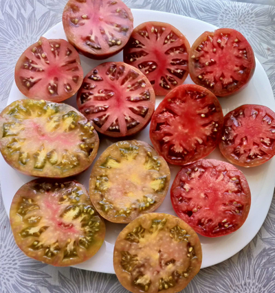 Мятные полосы, Гунн металл грей, Малиновая нерка