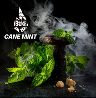 Табак Black Burn Cane Mint Тростниковая Мята 25 гр