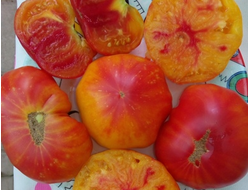 Томат Закат Алегени (Alleghany Sunset)