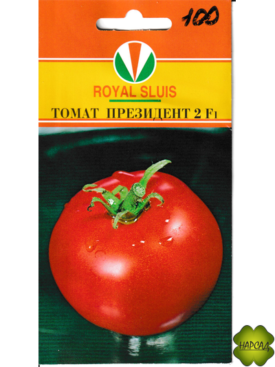 Томат "Президент -2" (высокорослый, лежкий)