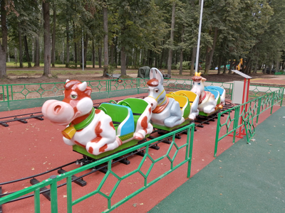 Детская железная дорога «Деревенька»