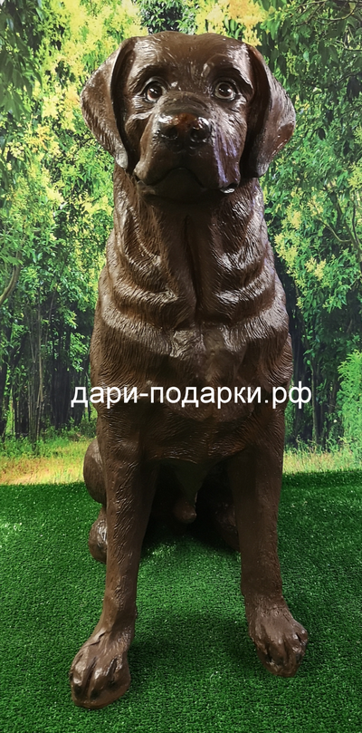 ЛАБРАДОР шоколад 69*54см  5кг  полистоун Россия 4635/012238*