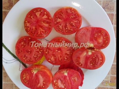 Томат Гном Жар-птица сладкая (Dwarf Firebird sweet)