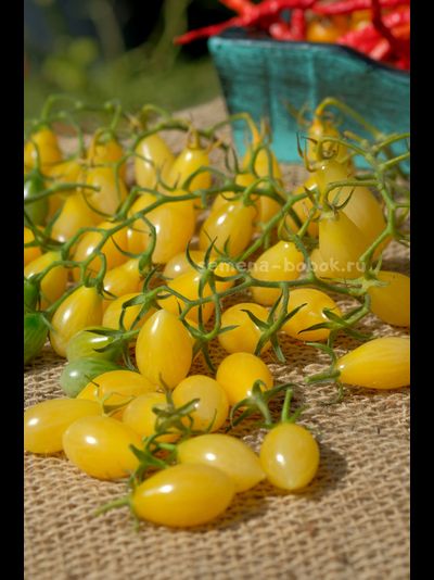 Томат Ivory Tears(  Слезы цвета слоновой кости ), 10 шт