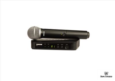 фото SHURE BLX24E/PG58