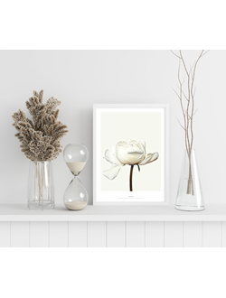 Постер в раме "Соло" (Пластик)