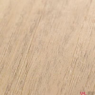 SPC ламинат FirstFloor Американский Орех Мартин 1F009 43 класс толщина 4.0 мм с фаской замковый 2.665 м2