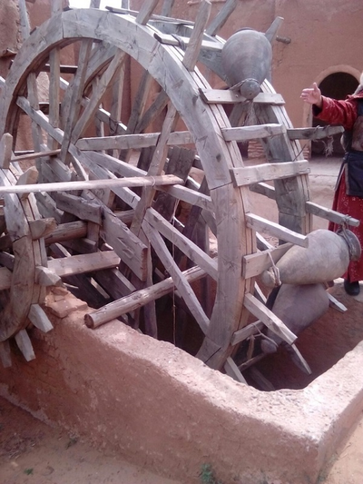 2025г. Астрахань, Волга, Баскунчак "Край цветущего лотоса"