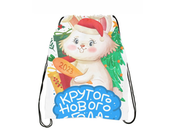 Сумка-мешок для обуви год Кролика №24