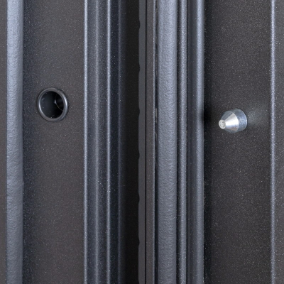 Стальная дверь   Antro. Заказная модель.