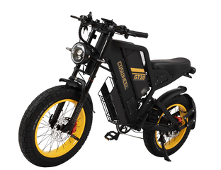 Sport electric bike shop