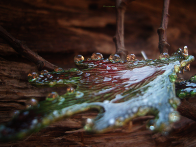 Волшебные серьги в стиле фэнтезийного бохо "Крылышки феи Луголесья"