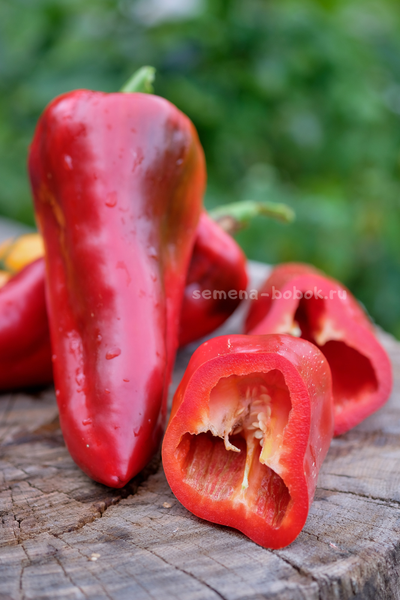Перец сладкий Гена, 10 шт