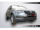 Premium защита радиатора для Skoda Karoq (2017-2021)