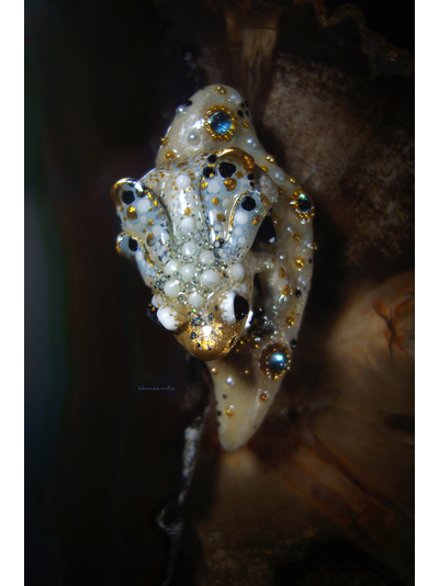 Мини-брошь с жемчугом и крылатой лягушкой &quot;Царская бабочка, Дивная Зоренька&quot;