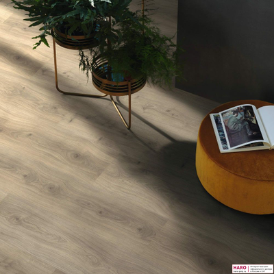 Декор ламината Haro Дуб Эмилия Вельвет Серый 540271 в интерьере комнаты