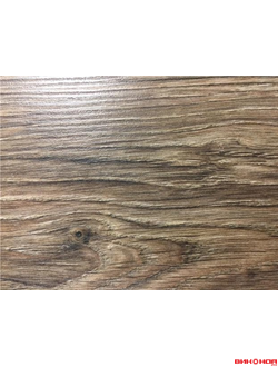 Клен Горный 33 класс