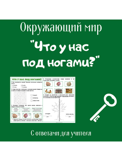 Рабочий лист. 1 класс. "Что у нас под ногами?"