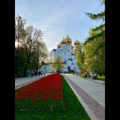 Экскурсия «Ярославль: Стрелка двух рек, Толгский монастырь и кедровая роща»
